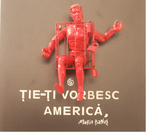 Rifiorire da uno strappo di Annalisa Cagnetta