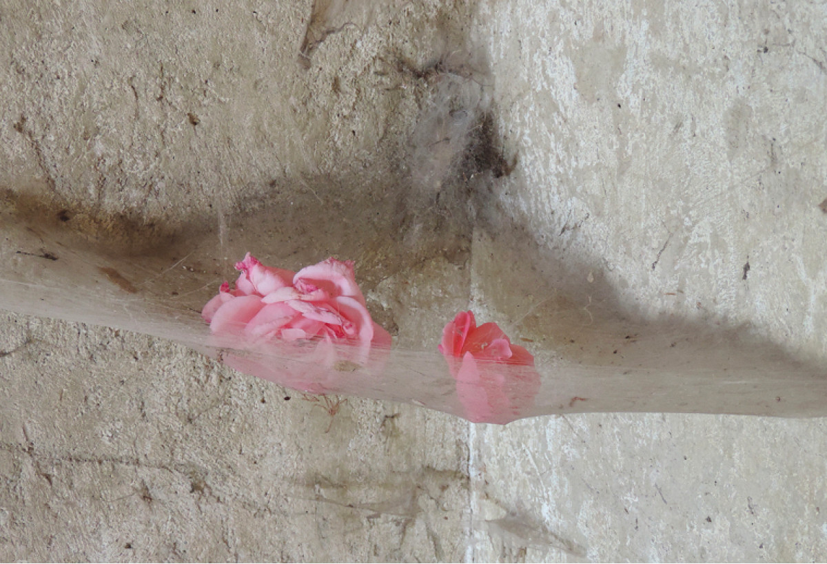 Tre visioni un’eredità: l’arte di Dalì, Mirò e Picasso