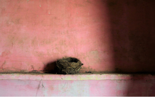 Osservazioni sopra lo stato delle cose presente