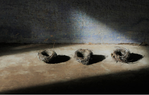 Mešić River, tre sue poesie