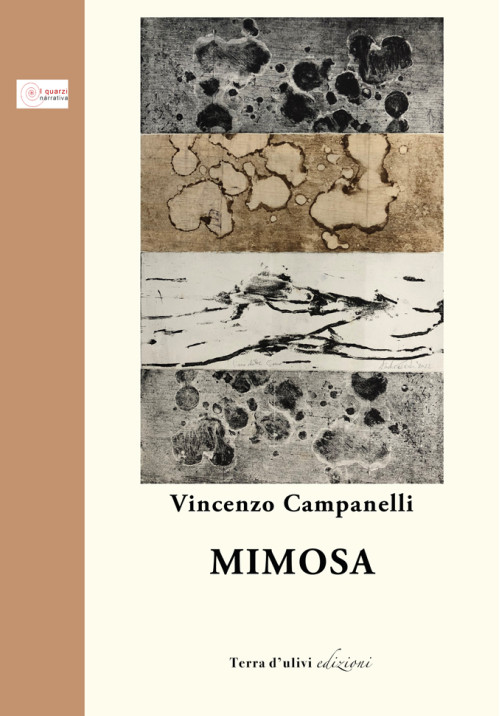 Mimosa di Vincenzo Campanelli